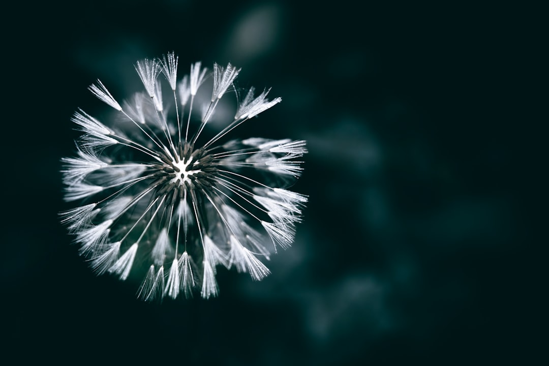 IA révolutionne networking professionnel 2025