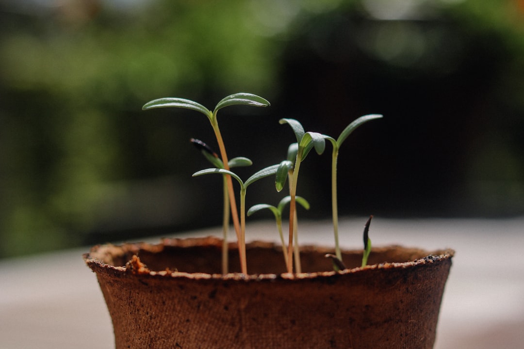 Automatisation IA pour rentabilité et optimisation des coà»ts