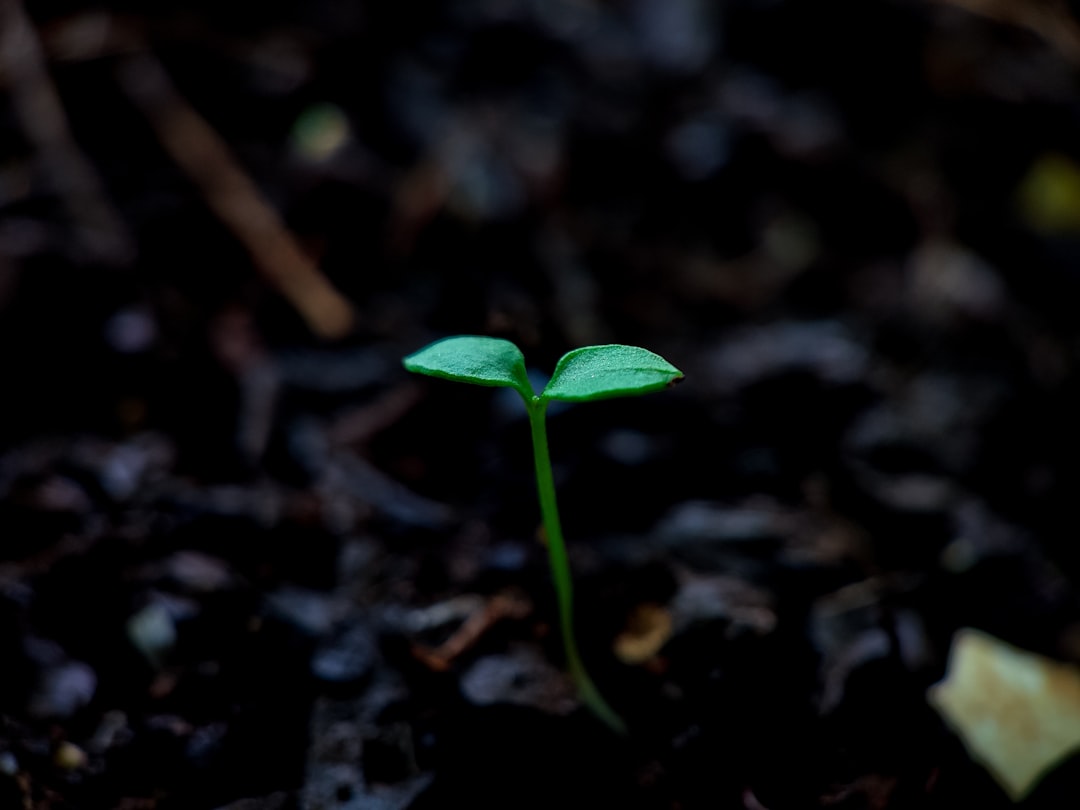 Scalabilité IA : Performance et transformation numérique