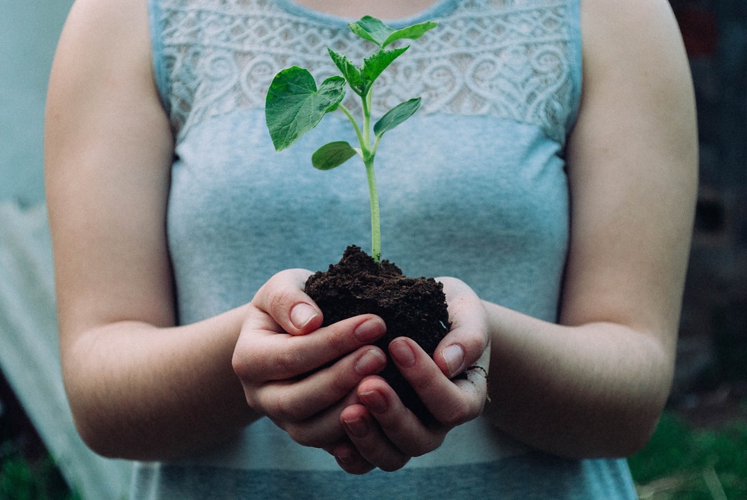 Optimisation IA du tunnel de conversion marketing